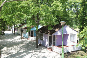 Tulipán Camping